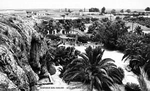 Hammam-Bou-Hadjar - Jardin Public